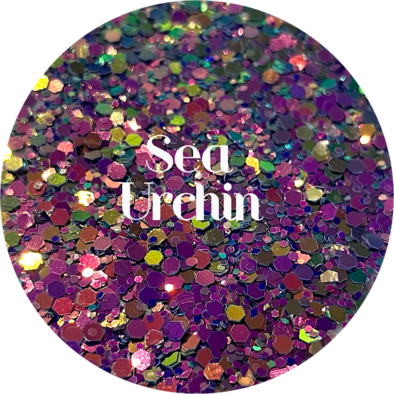 Polyester Glitter - Sea Urchin by Glitter Heart Co.&#x2122;